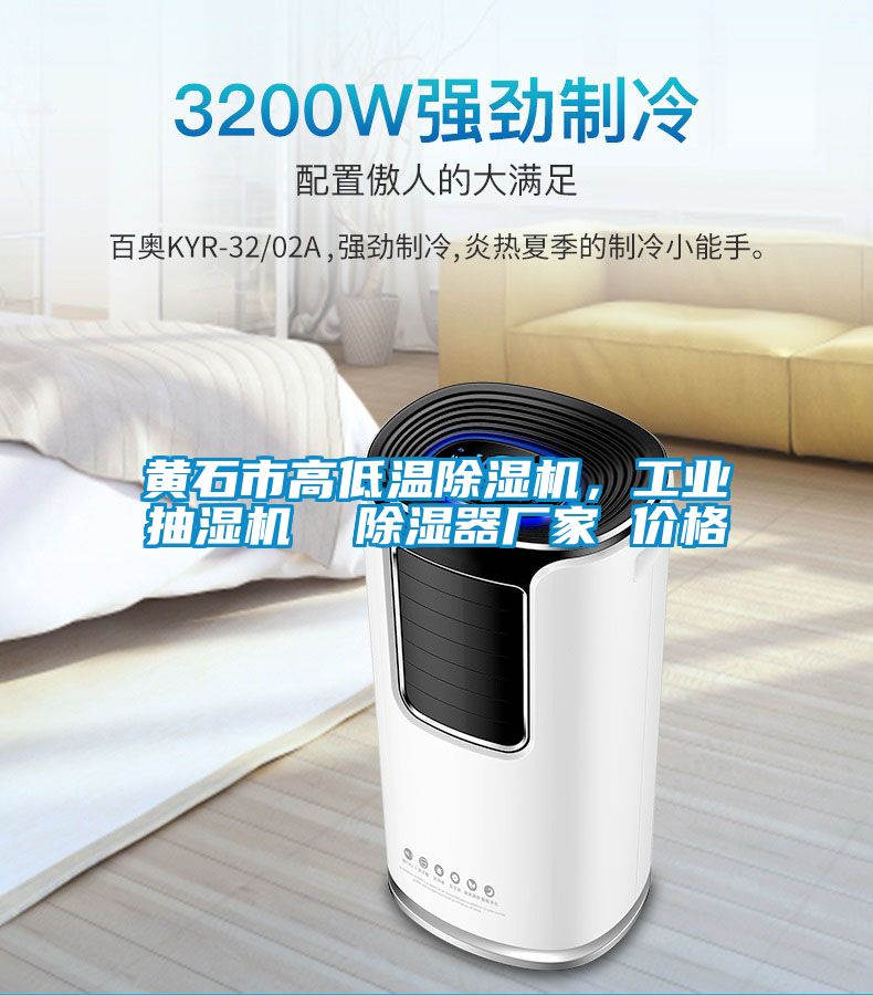 黃石市高低溫除濕機(jī)，工業(yè)抽濕機(jī)  除濕器廠家 價(jià)格