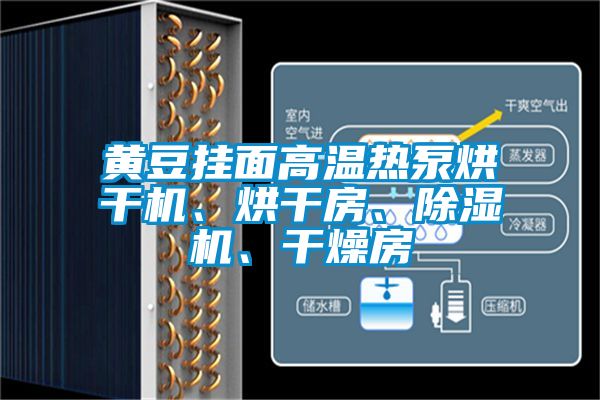 黃豆掛面高溫?zé)岜煤娓蓹C(jī)、烘干房、除濕機(jī)、干燥房