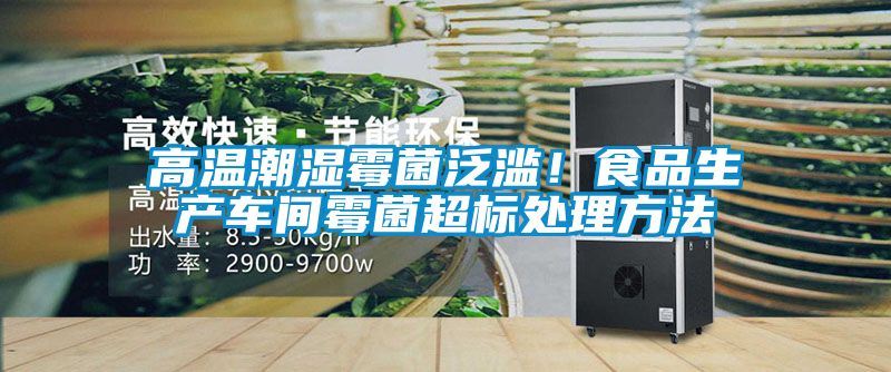 高溫潮濕霉菌泛濫！食品生產(chǎn)車間霉菌超標(biāo)處理方法