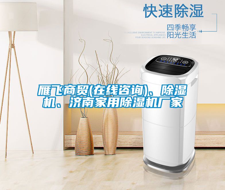 雁飛商貿(mào)(在線咨詢)、除濕機、濟南家用除濕機廠家