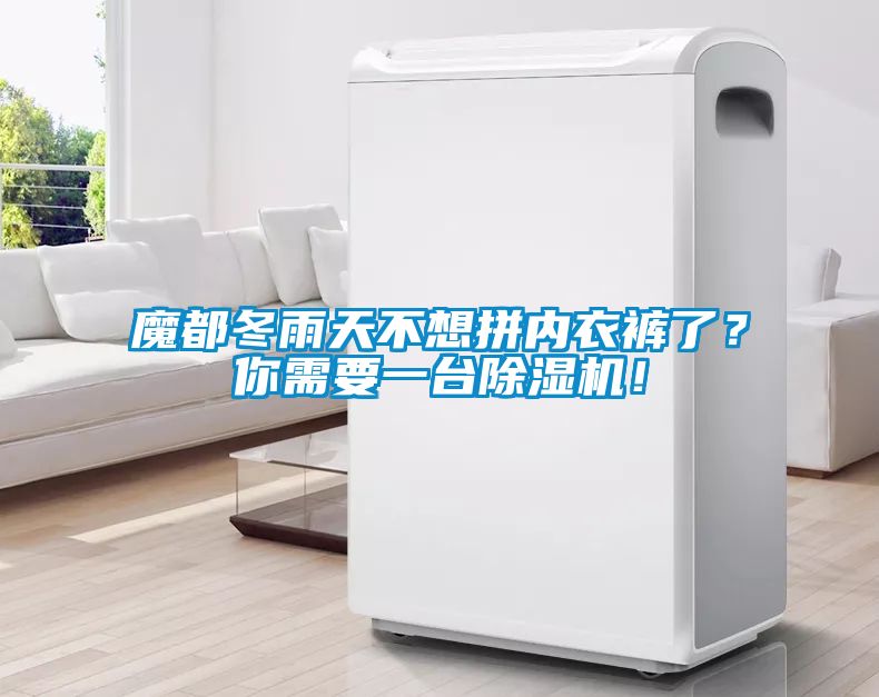 魔都冬雨天不想拼內(nèi)衣褲了？你需要一臺除濕機！