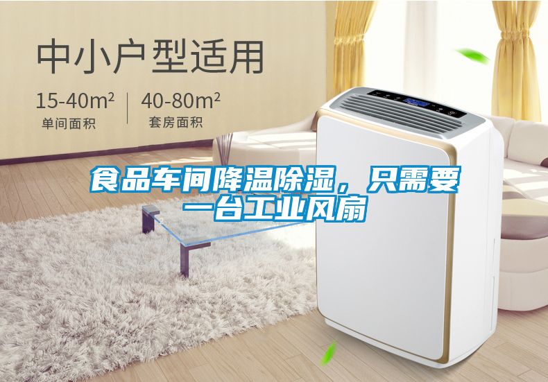 食品車間降溫除濕，只需要一臺(tái)工業(yè)風(fēng)扇